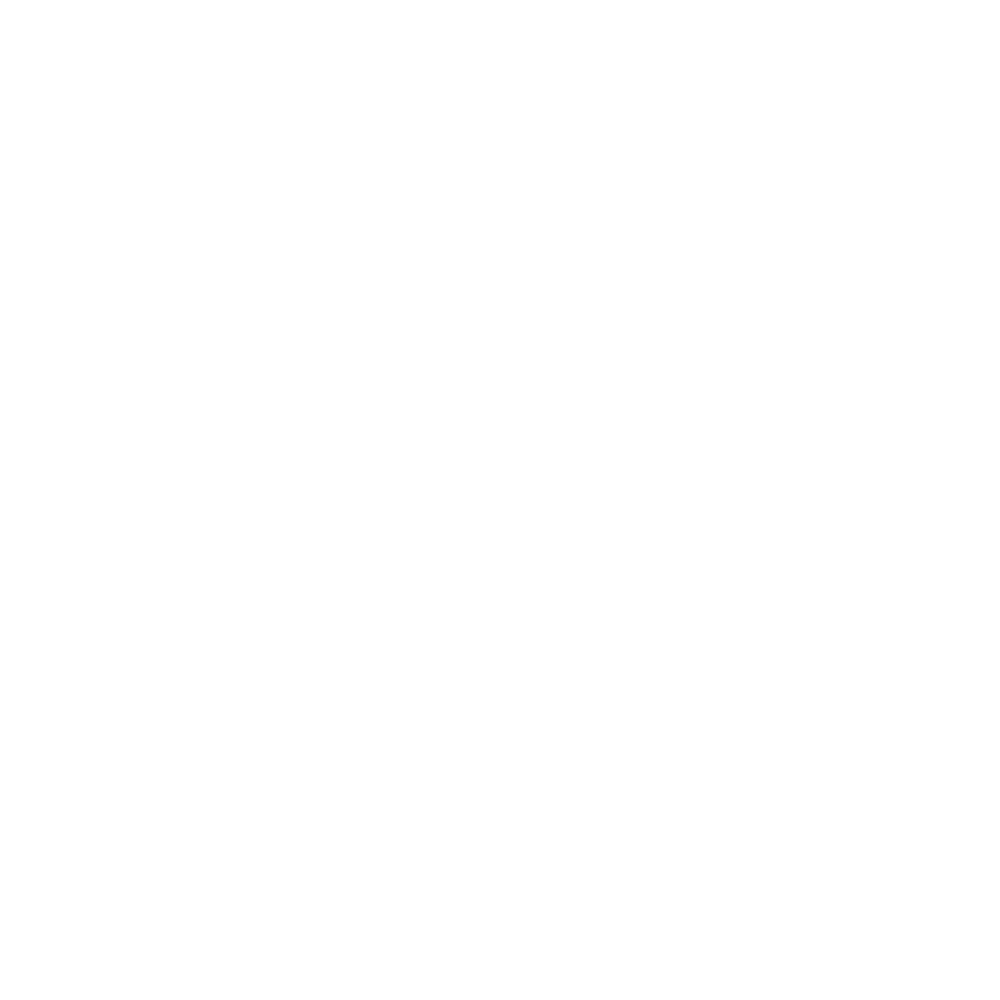 Milllenium S.A de C.V